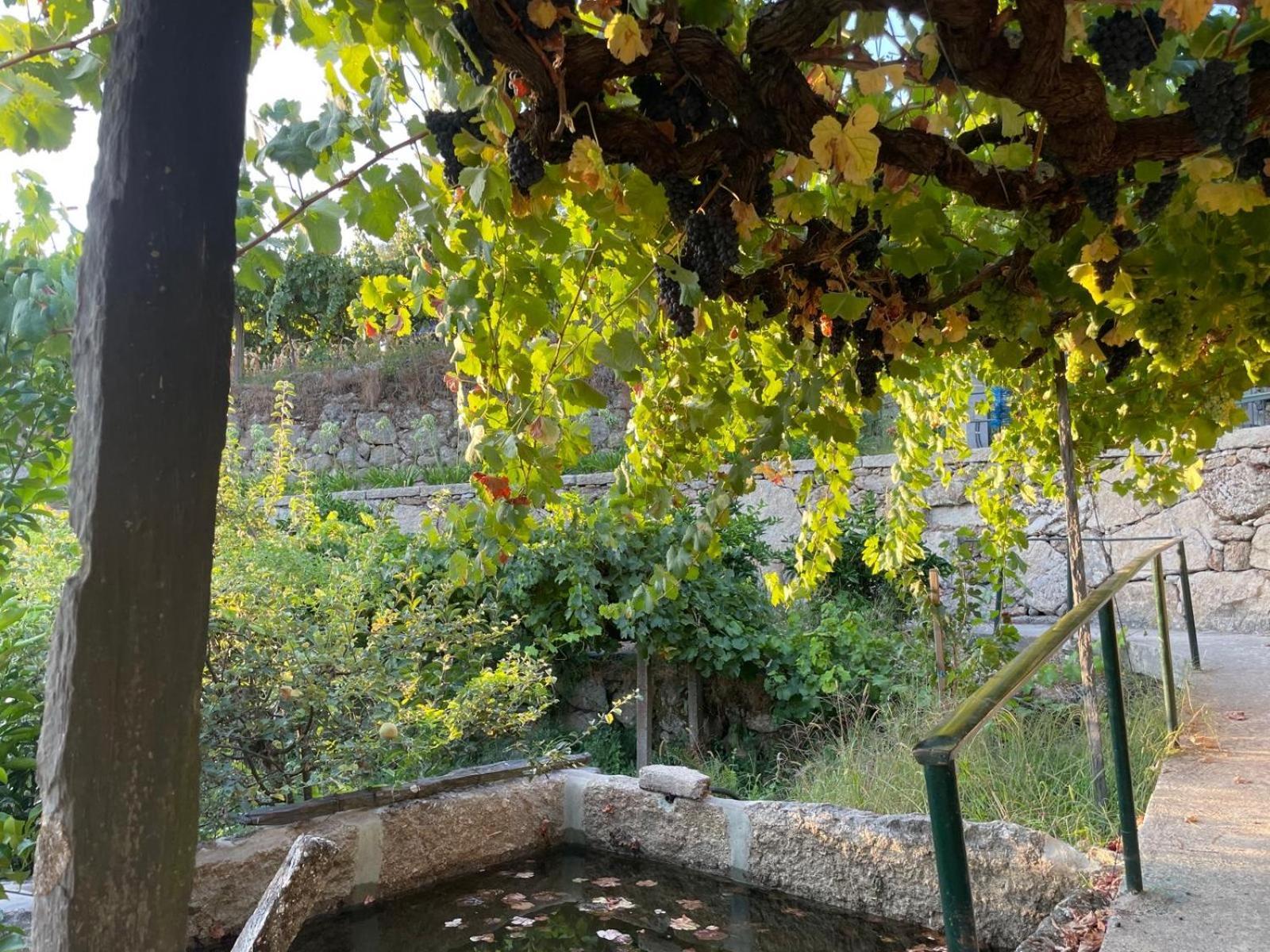 Quintinha De Pinouco Villa Resende Buitenkant foto